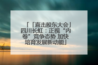 「直击股东大会」四川长虹：正视“内卷”竞争态势 加快培育发展新动能